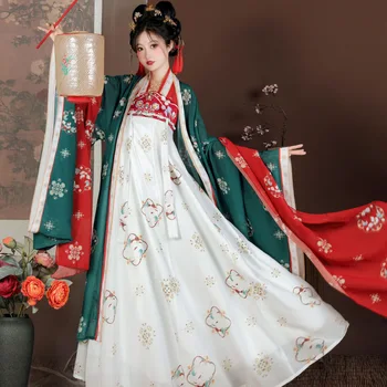 Rankomis dažyti Hanfu Suknelė - Originalaus Dizaino Tang Dinastijos Stiliaus Vasaros Senovės Kostiumas Nustatyti Plus Size Moterys