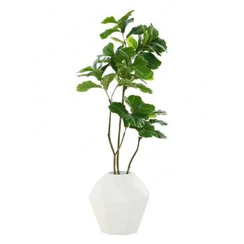 Modeliavimas-Žemės Žaliųjų Augalų Augalų Ficus Lyrata Puodą Apdaila, Patalpų Kambarį Didelis Grindų dekoratyviniai augalai
